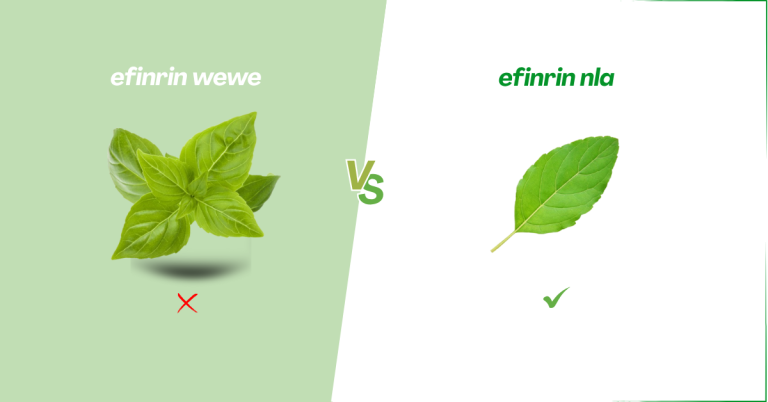 efinrin-nla-efinrin-wewe