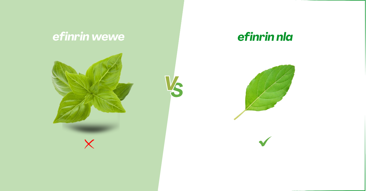 efinrin-nla-efinrin-wewe