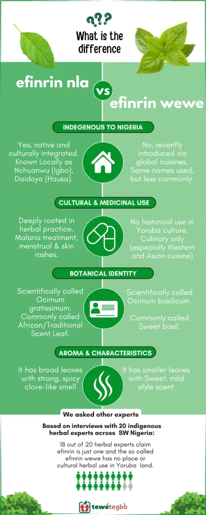 Difference between efinrin nla and efinrin wewe infographic