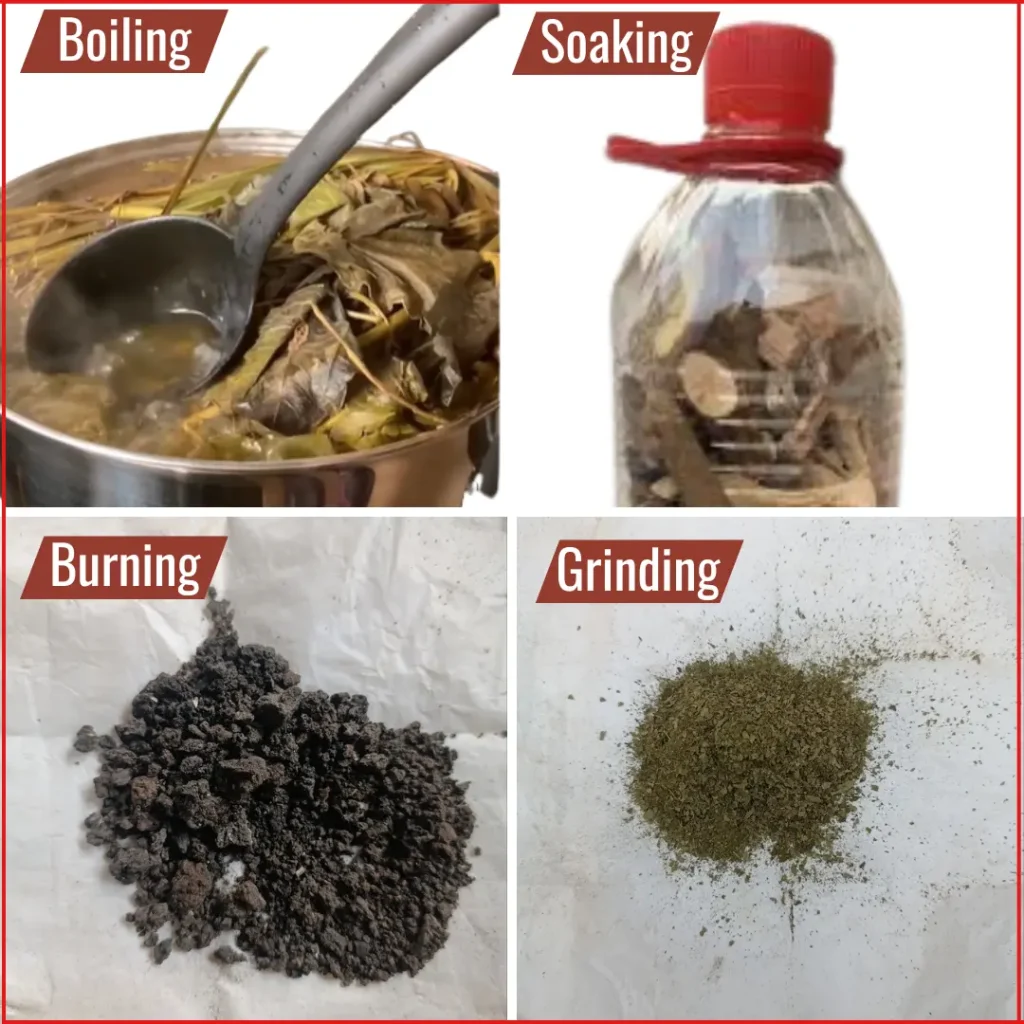 Method of Preparing Yoruba Herbs (Agbo)