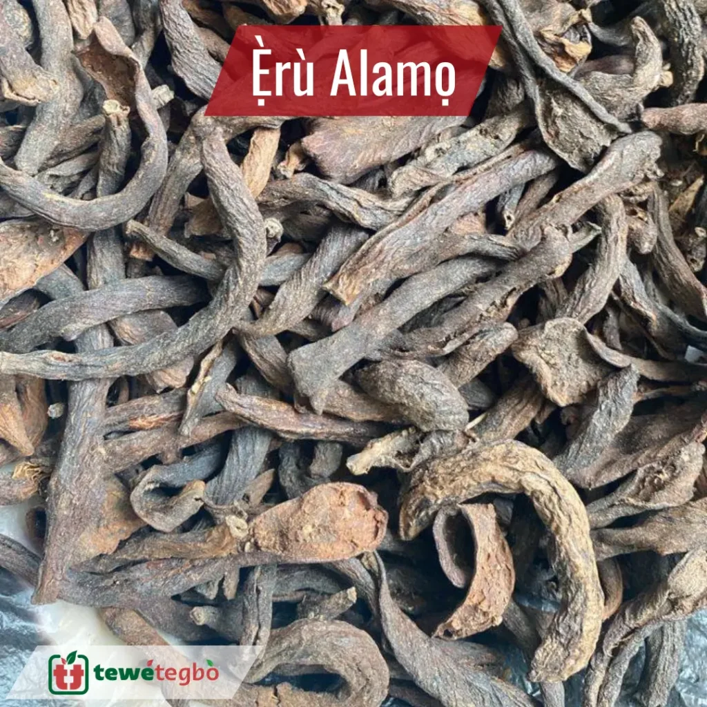 Eru Alamo - Eru Alamon