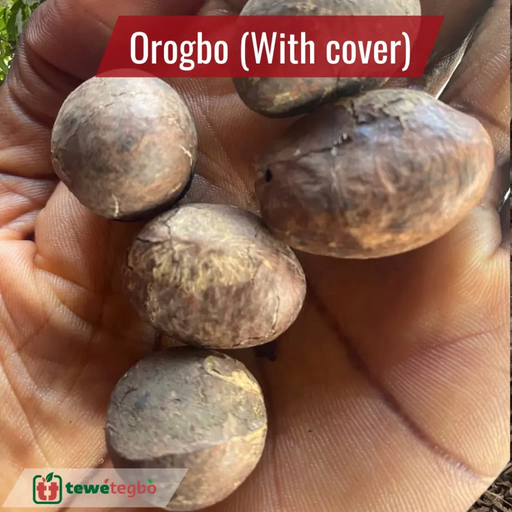 Orogbo with the brown cover unpeeled