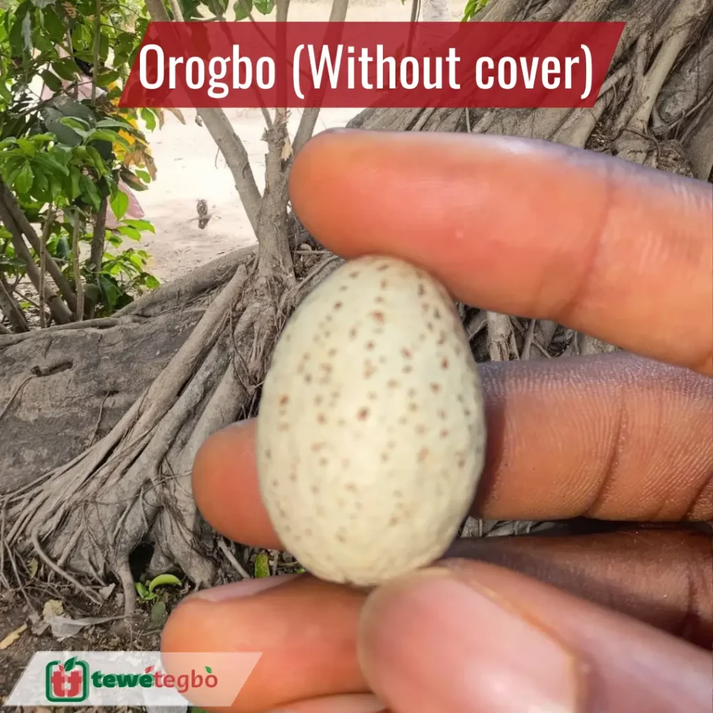 Orogbo with the brown cover peeled