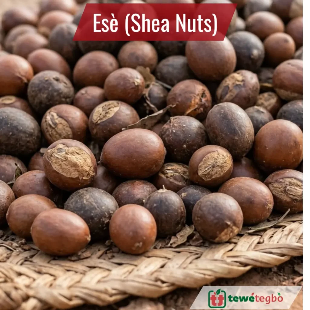 sheanut ese